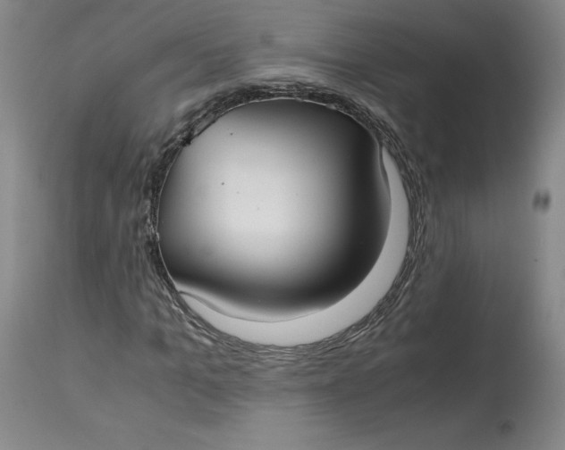 X0000113140965200909251300