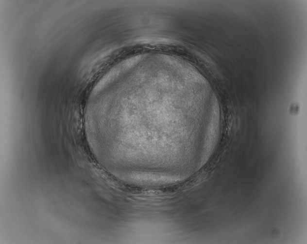 X0000113140966200909251300