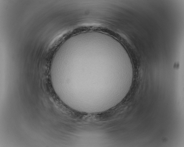 X0000113140967200909251300