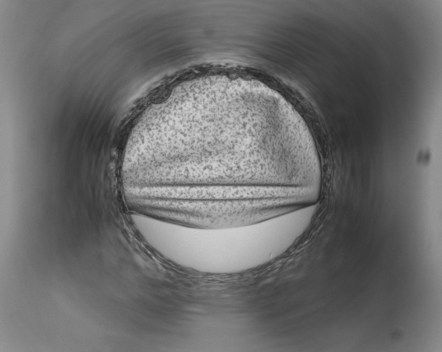 X0000113140968200909251300