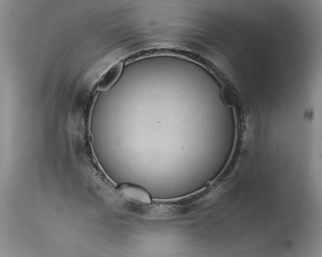 X0000113140969200909251300