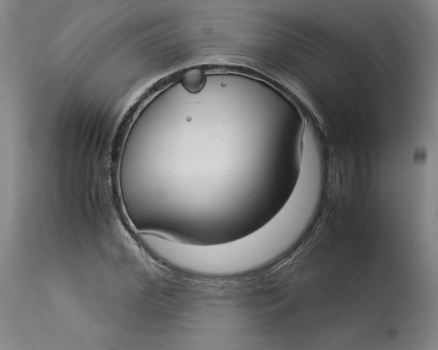 X0000113140972200909251300