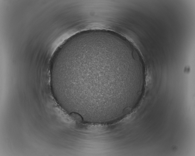 X0000113140973200909251300