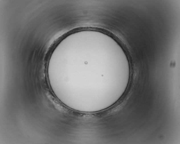 X0000113140974200909251300