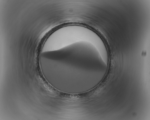 X0000113140975200909251300