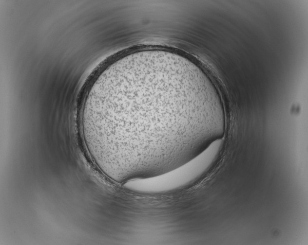 X0000113140976200909251300