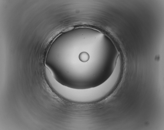 X0000113140977200909251300