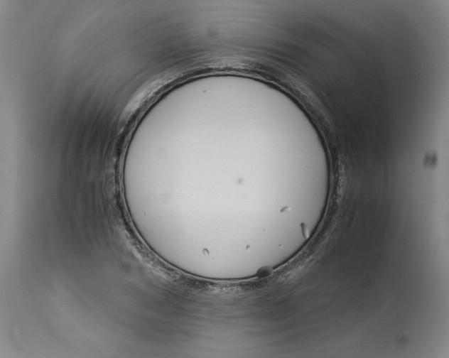 X0000113140978200909251300