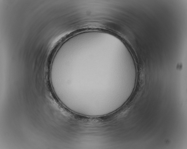 X0000113140979200909251300