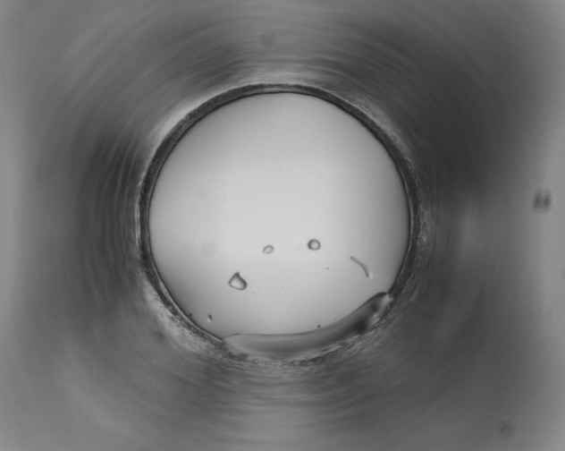 X0000113140980200909251300