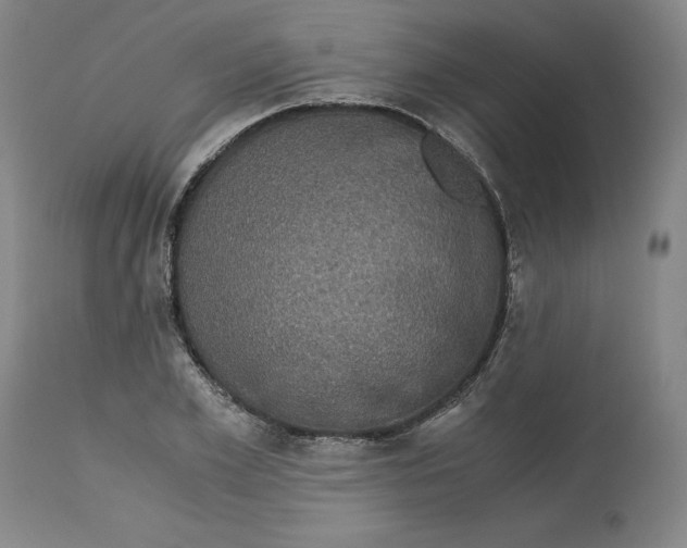 X0000113140981200909251300