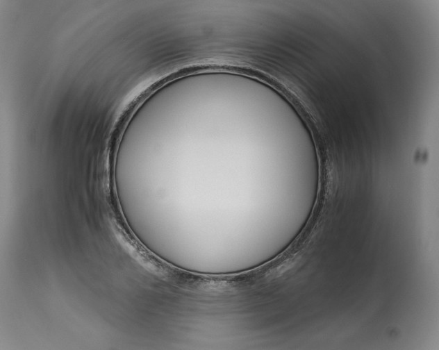 X0000113140982200909251300