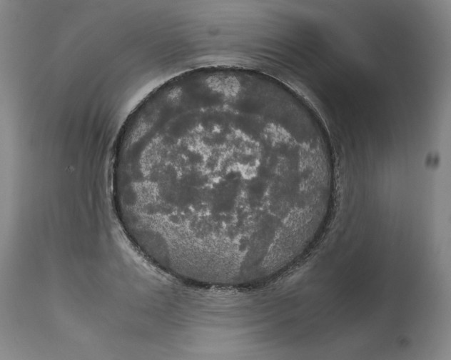 X0000113140983200909251300