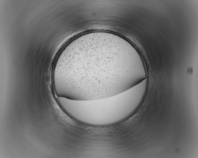 X0000113140984200909251300