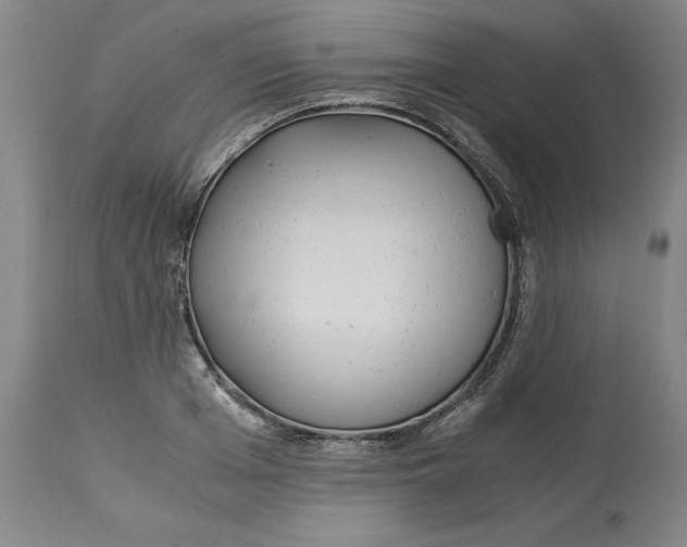 X0000113140985200909251300