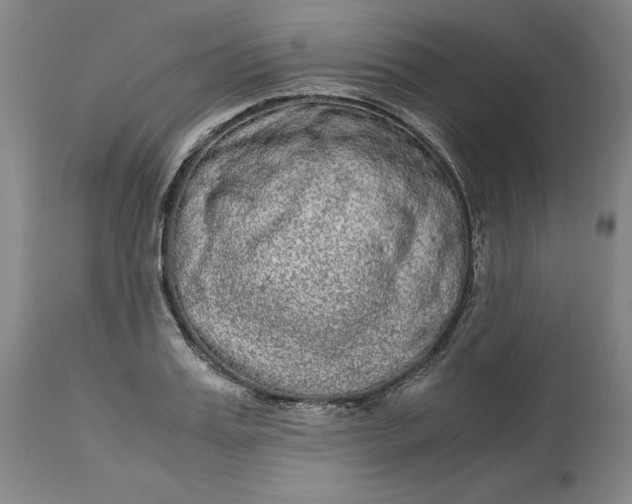 X0000113140987200909251300