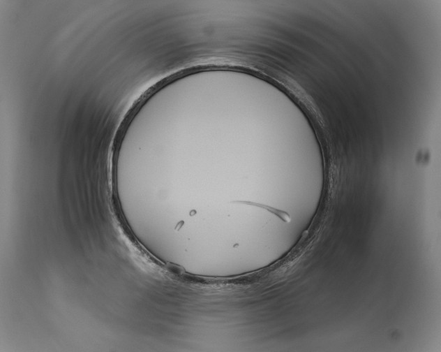 X0000113140988200909251300