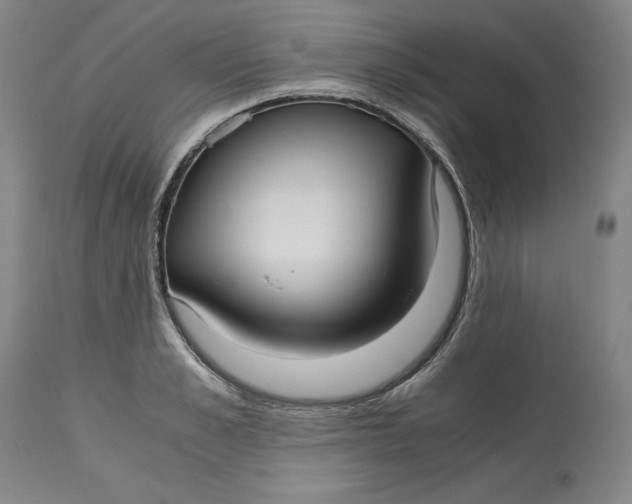 X0000113140989200909251300