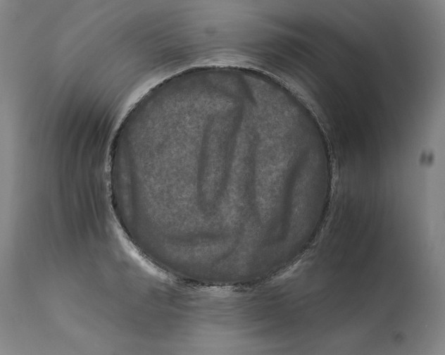 X0000113140990200909251300