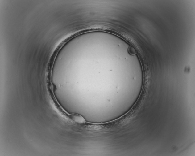 X0000113140991200909251300