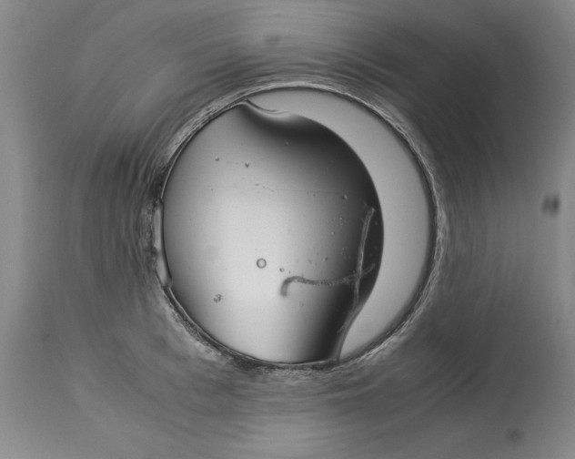 X0000113140993200909251300