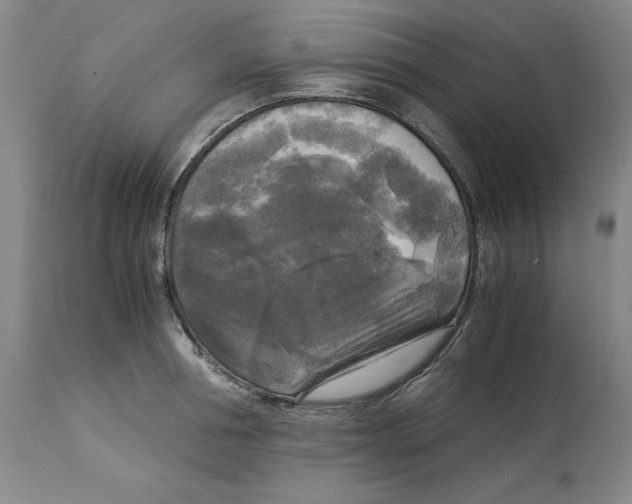 X0000113140994200909251300