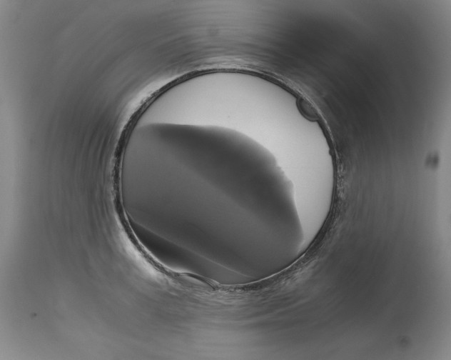 X0000113140995200909251300