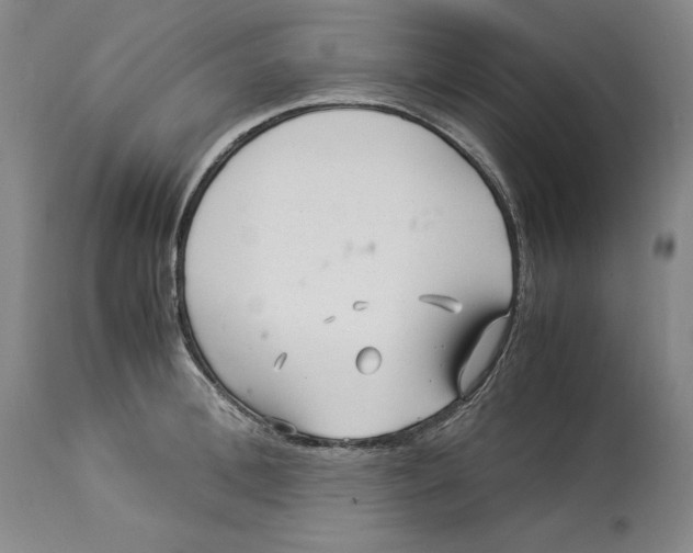 X0000113140996200909251300