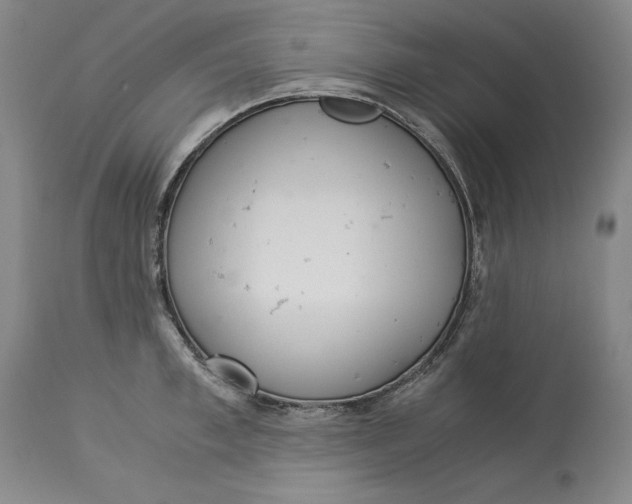 X0000113140997200909251300