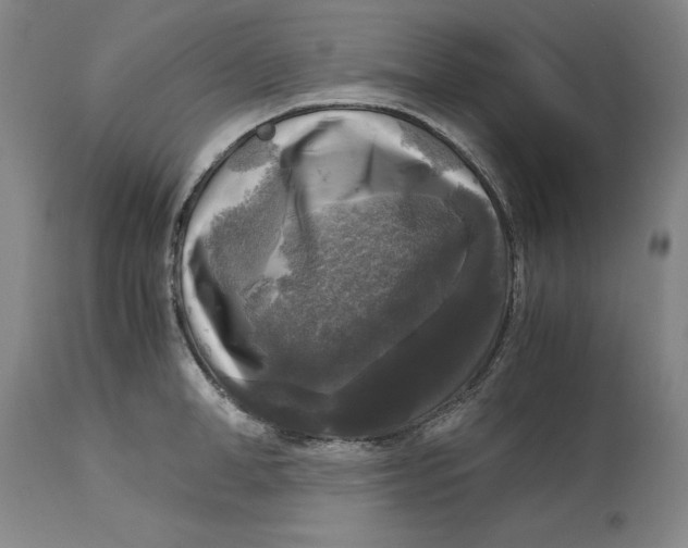 X0000113140998200909251300