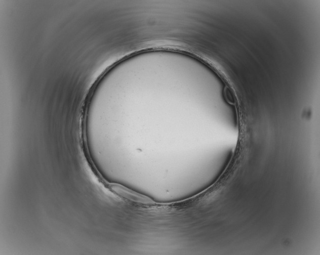 X0000113140999200909251300