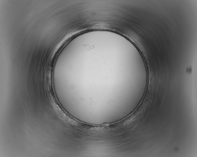 X0000113141000200909251300