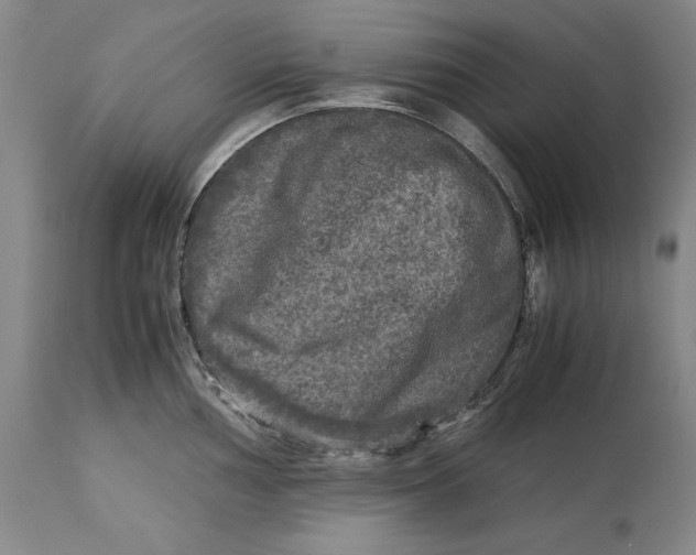 X0000113141002200909251300