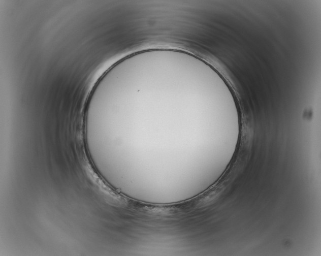 X0000113141004200909251300