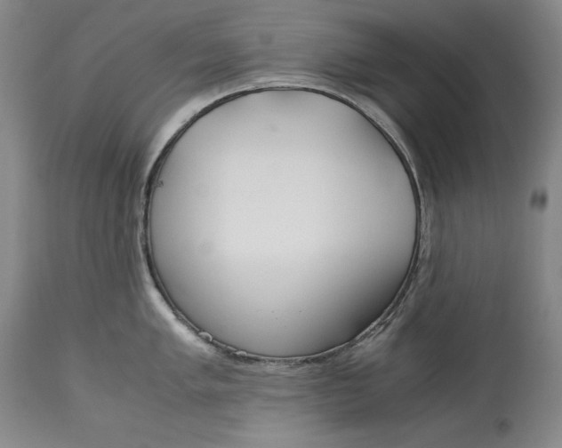 X0000113141005200909251300