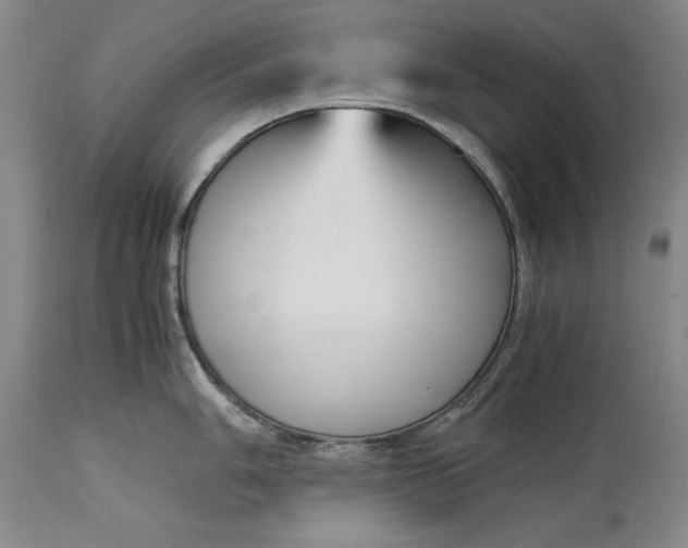 X0000113141006200909251300