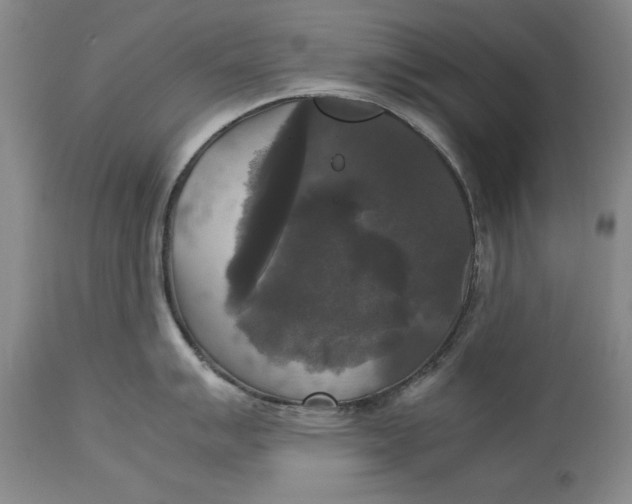 X0000113141007200909251300