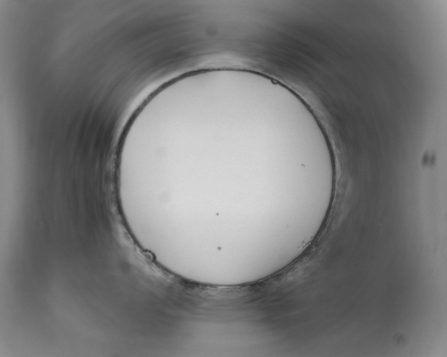 X0000113141008200909251300