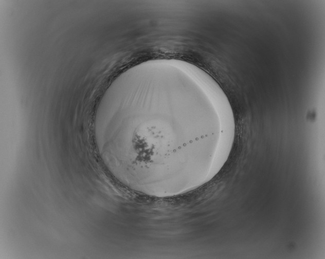 X0000113141009200909251259