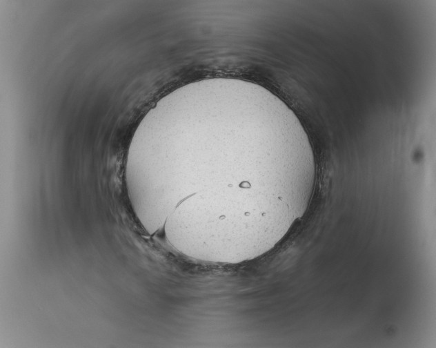 X0000113141010200909251259