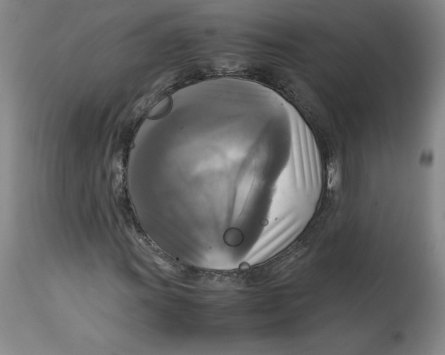 X0000113141011200909251259