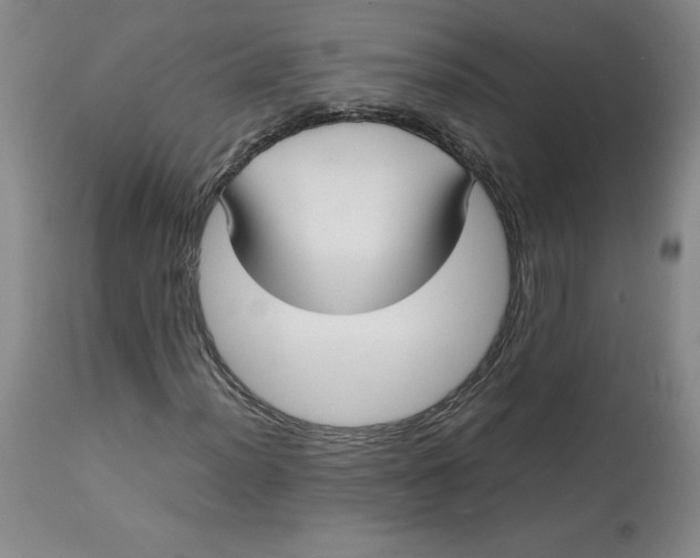 X0000113141012200909251259