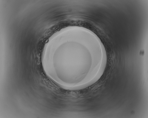 X0000113141013200909251259