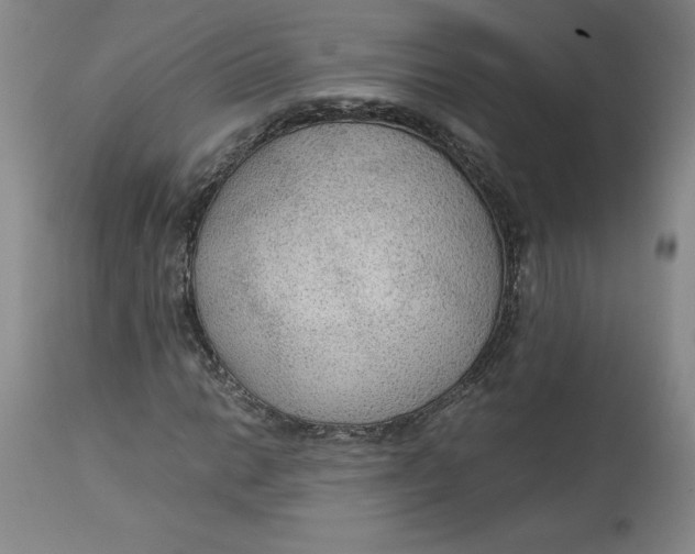 X0000113141014200909251259