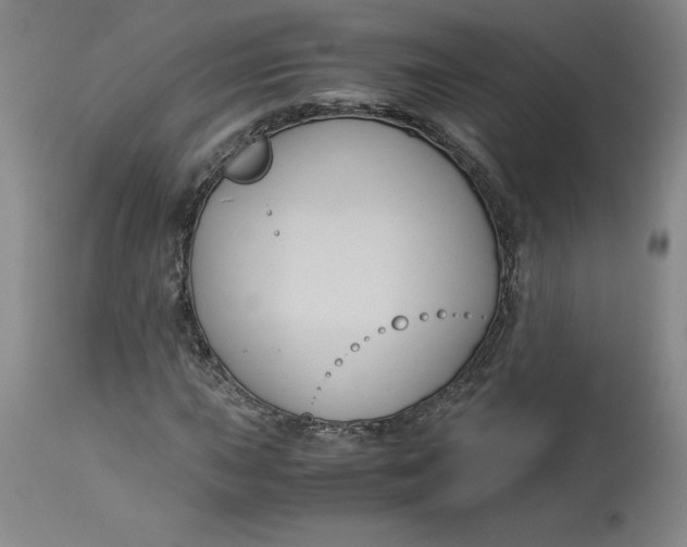 X0000113141015200909251259