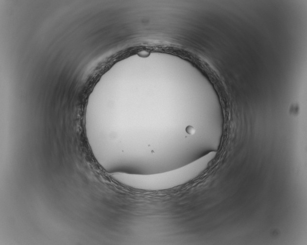 X0000113141016200909251259