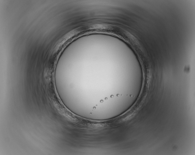 X0000113141017200909251259