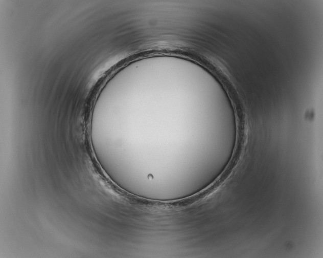 X0000113141018200909251259