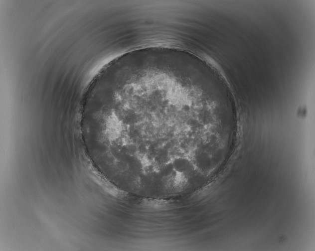 X0000113141019200909251259