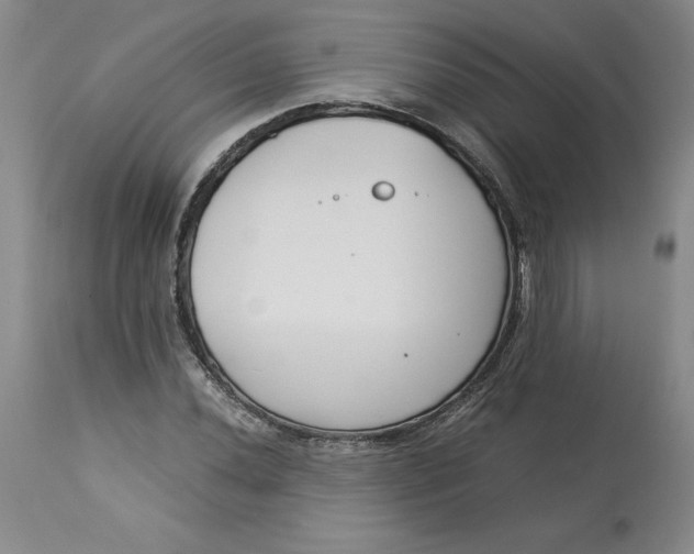 X0000113141020200909251259